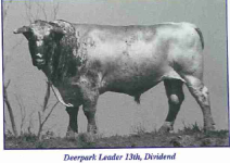 Deerpark_Leader_13th.jpg