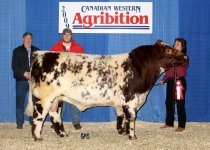 Uluru Buster 6T Agribition 2009 downsized.jpg