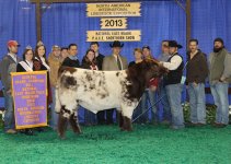 CF Upgrade- NAILE 2013.jpg