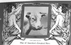 fair acres sultan.jpg