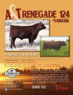 Renegade April Short Country 2014 resized.jpg