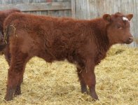 26B PaintearthRama x HC FL SparkleDelight2X.jpg