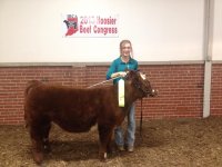Walks Alone Heifer.jpg