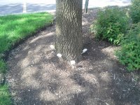 20140521_155218 (800x600).jpg