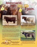 SJ Cattle Co Aug 2014.jpg