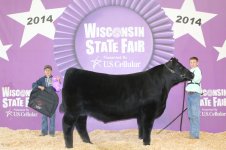 Champion-Angus-Steer-1024x682.jpg