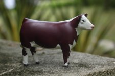 Toy Hereford cow.jpg