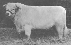 remitall choice mint.jpg