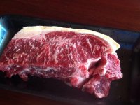 Grass fed Galloway Sirloin Steak.jpg