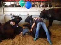kids and cows.jpg