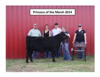 Reserve Champion Heifer Calf.jpg