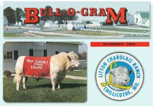 bull-o-gram.jpg