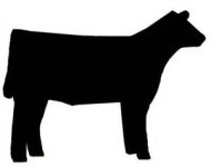 black heifer clip art.jpg
