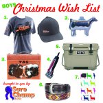 Sure Champ Christmas Wish List Boy.jpg