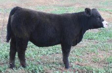 MAB X 8820 DAUGHTER  2014 .JPG