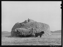 douglas county nevada.jpg