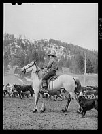 montana.jpg