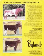 Byland.ad.1984.jpg