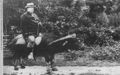 williamhowardtaftridingcarabao.jpg