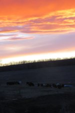 Feb 18th Sunset.jpg