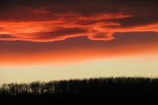 Feb 18th Sunset 2.jpg