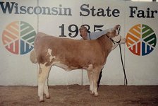 Genna State Fair Res. Champion.jpg