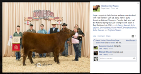 Rainbow Red Angus Heifer.PNG