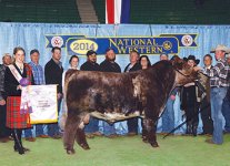 LC-Cabrera-2014-NW-Res-GC-Bull-2.jpg