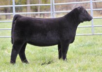 Lot 10 Afterhours x I am Legend 2013.jpg