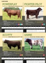 2014 Semex International Catalogue.jpg