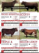 2012 Semex International Catalogue.jpg