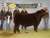2014-NWSS-RCh-Intermed-Bull-TurnerCrclH-Deception-2-ET (1).jpg