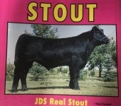 stout_.jpg