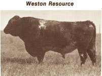 Weston Resource 1.jpg