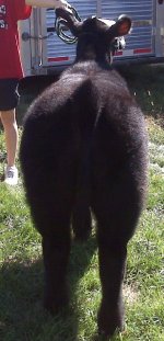 Maddie Rear.jpg