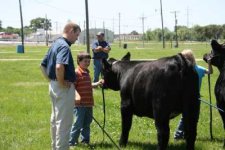 Will Showmanship June 2008.jpg