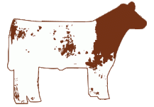 preview-steer.gif