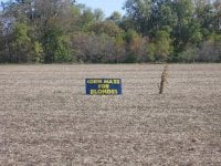 Corn Maze for Blondes.JPG