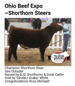 Resized_2 OUTSIDER STEER OHIO.jpg