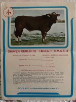 berlin ad copy.jpg