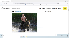 image.png Putin Bear Boy.png