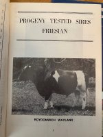 friesian cover.jpg