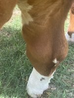 IMG_5032.jpeg