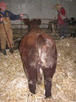 IMG_3197.jpg