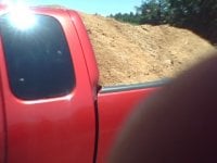 Saw Dust.jpg