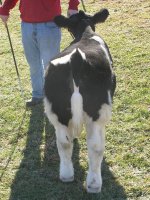 IMG_1112 small.jpg