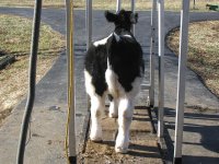 IMG_1106 small.jpg