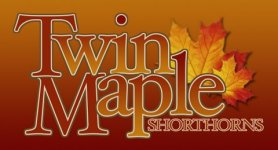 TWIN_MAPLE_LOGO_2.jpg