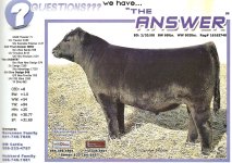 The Answer Add.jpg