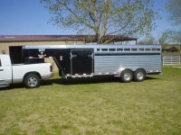 trailer & bull 030.JPG